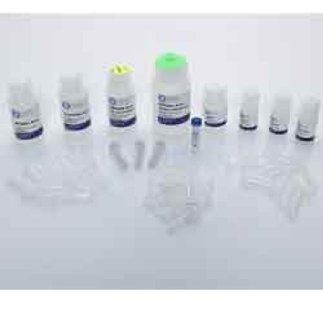 Bead Mill Fecal DNA Kit - OMNI International Inc. - Life Sciences