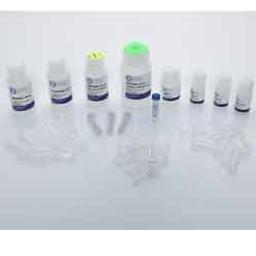 Bead Mill Fecal DNA Kit - OMNI International Inc. - Life Sciences