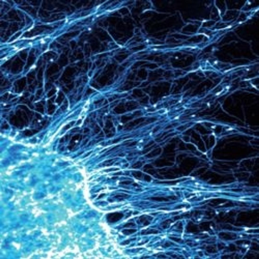 Extragel - AMSBIO - Life Sciences