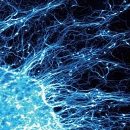 Extragel - AMSBIO - Life Sciences