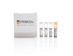 EasySep™ "Do-It-Yourself" Positive Selection Kit II - STEMCELL Technologies Inc. - Life Sciences