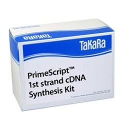 PrimeScript™ 1st strand cDNA Synthesis Kit - Takara Bio - Life Sciences