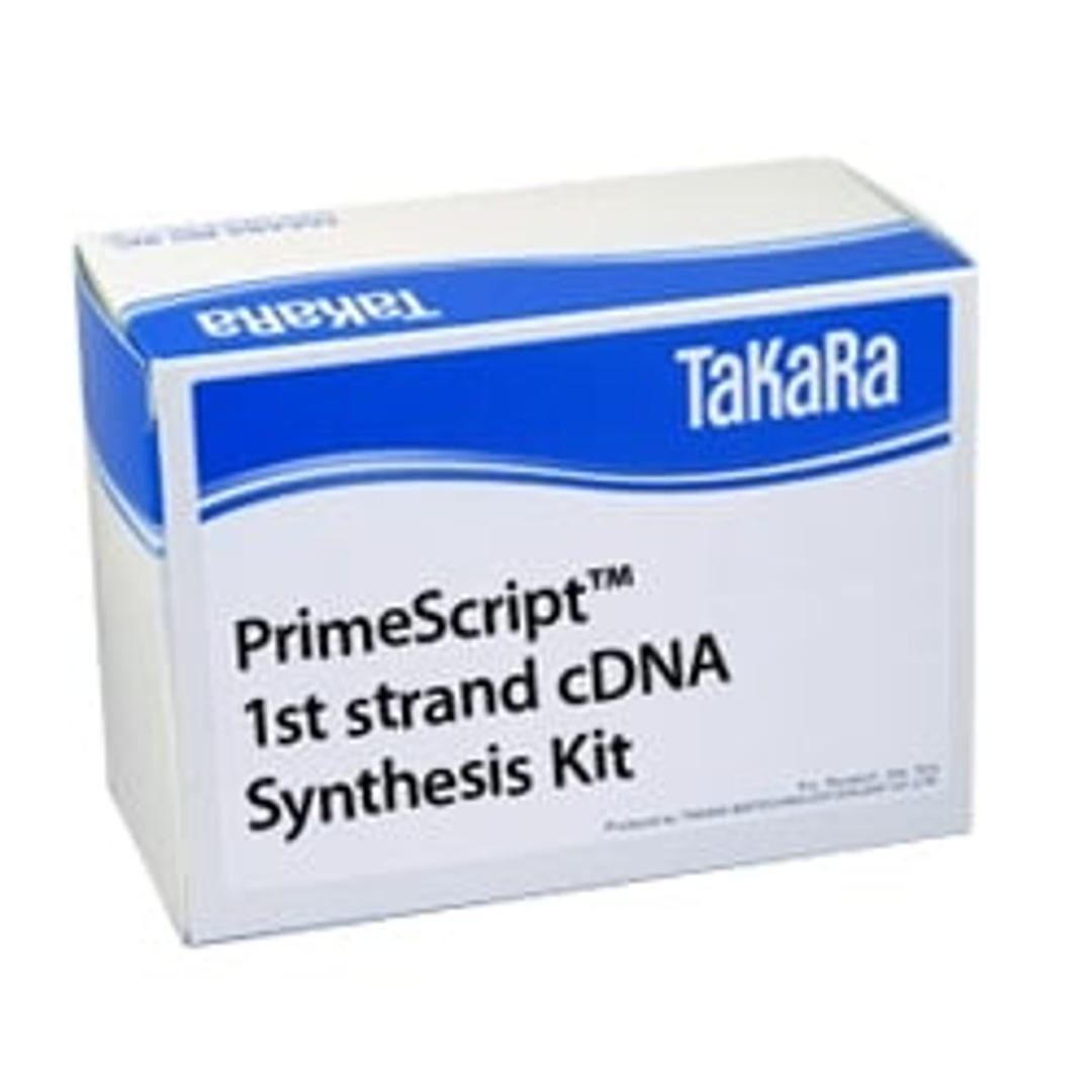 PrimeScript™ 1st strand cDNA Synthesis Kit - Takara Bio - Life Sciences