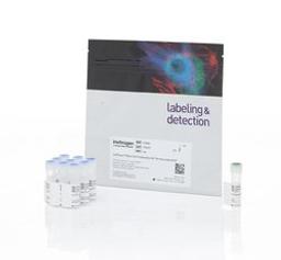Invitrogen™ CellTrace™ Blue Cell Proliferation Kit - Thermo Fisher Scientific - Life Sciences