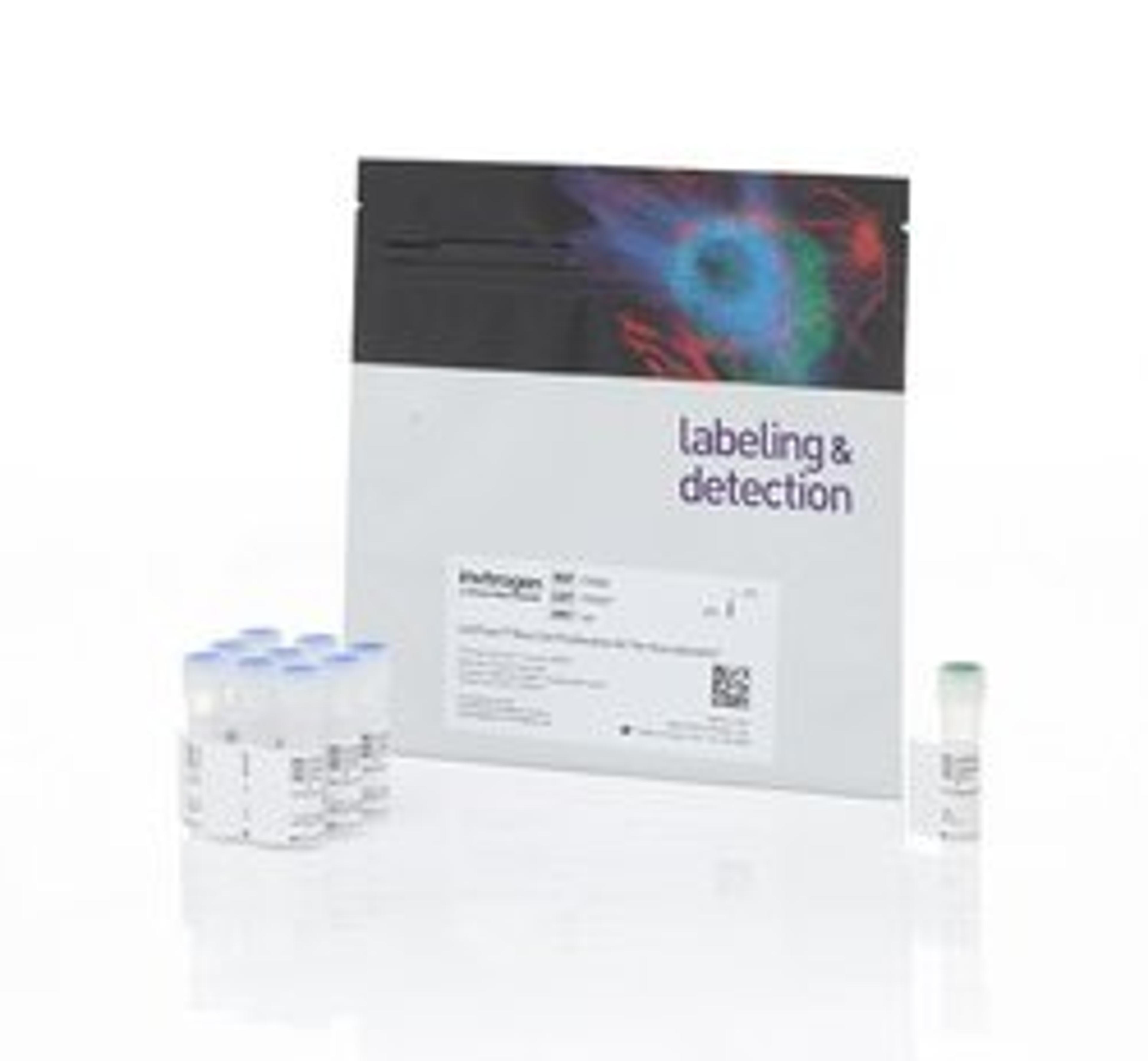 Invitrogen™ CellTrace™ Blue Cell Proliferation Kit - Thermo Fisher Scientific - Life Sciences