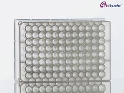 4titude® 2.0 ml Round 96 Deep Well U-Bottom Storage Plate (Clear) - Brooks Life Sciences - Life Sciences
