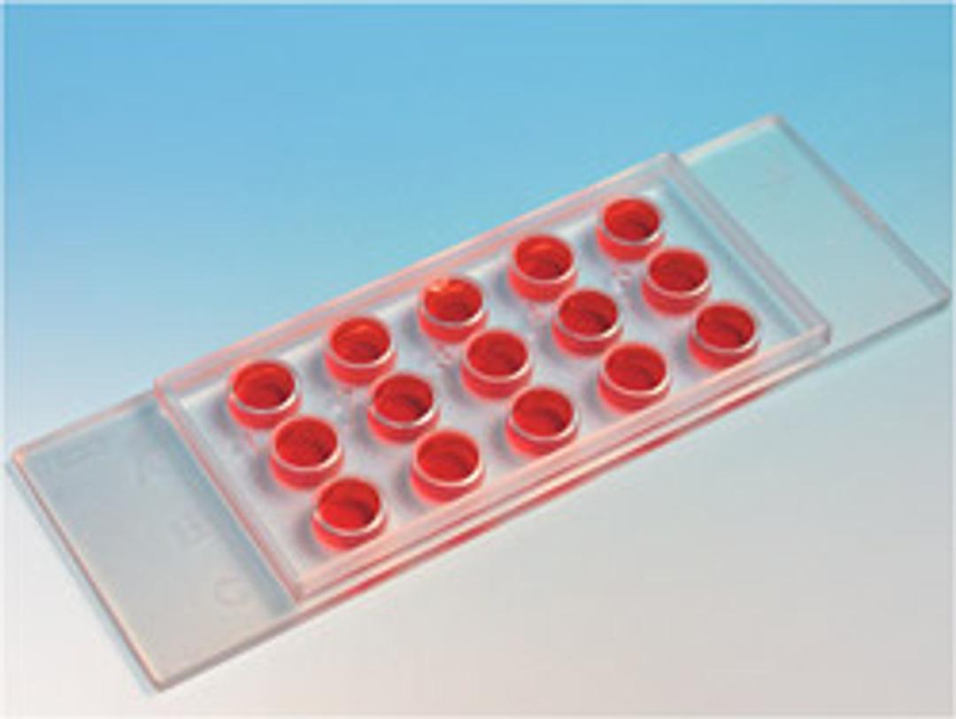 µ-Slide Angiogenesis, ibiTreat, tissue culture treated, sterile - AutoMate Scientific Inc. - Life Sciences