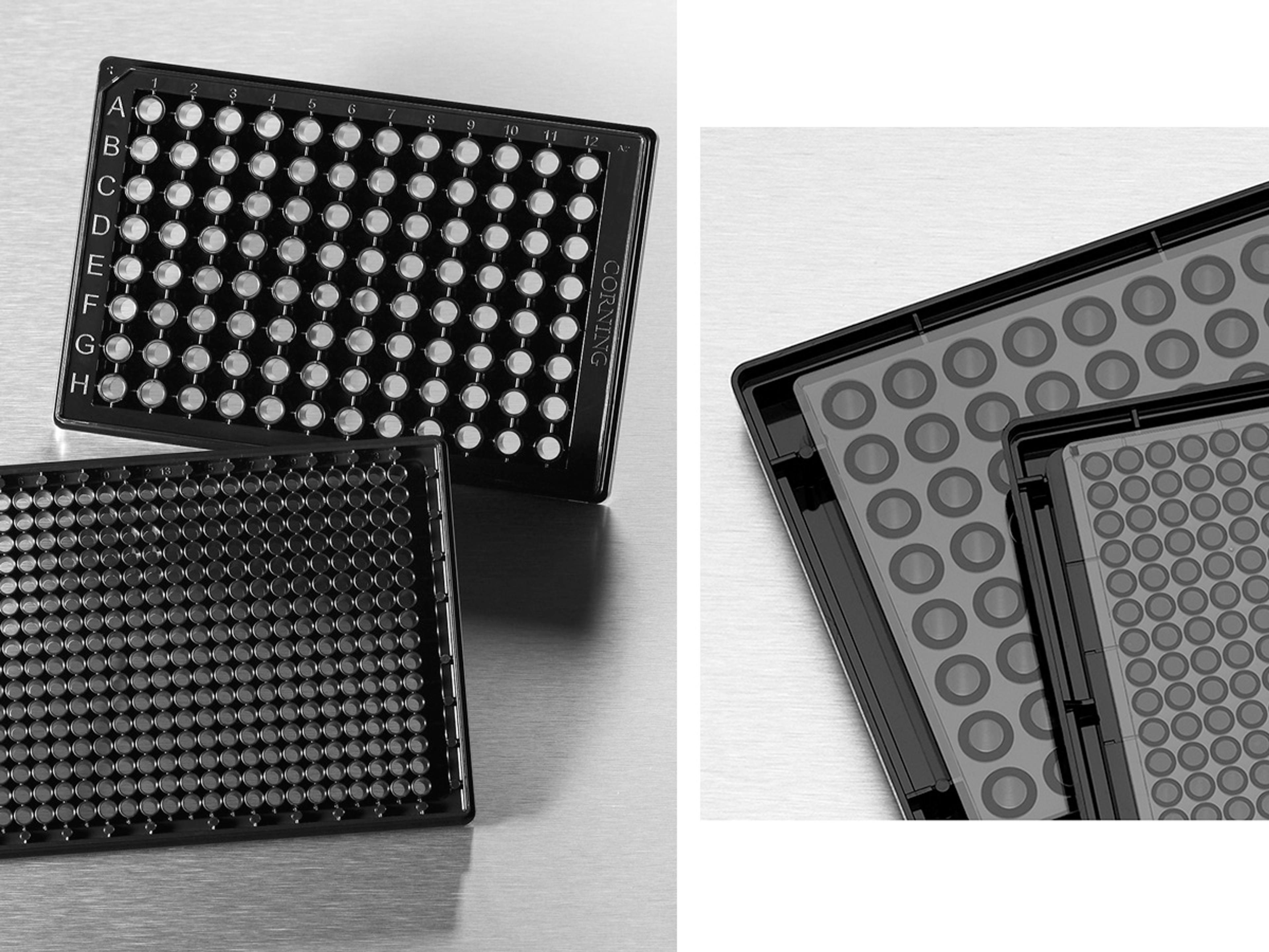 Corning® 384-well High Content Imaging, Low base, Film Bottom Microplate, with Lid - Corning Life Sciences