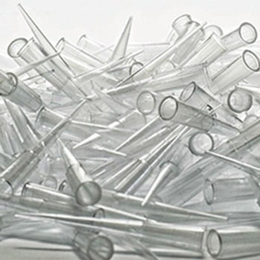 Pipette Tips - Alpha Laboratories Ltd - General Lab