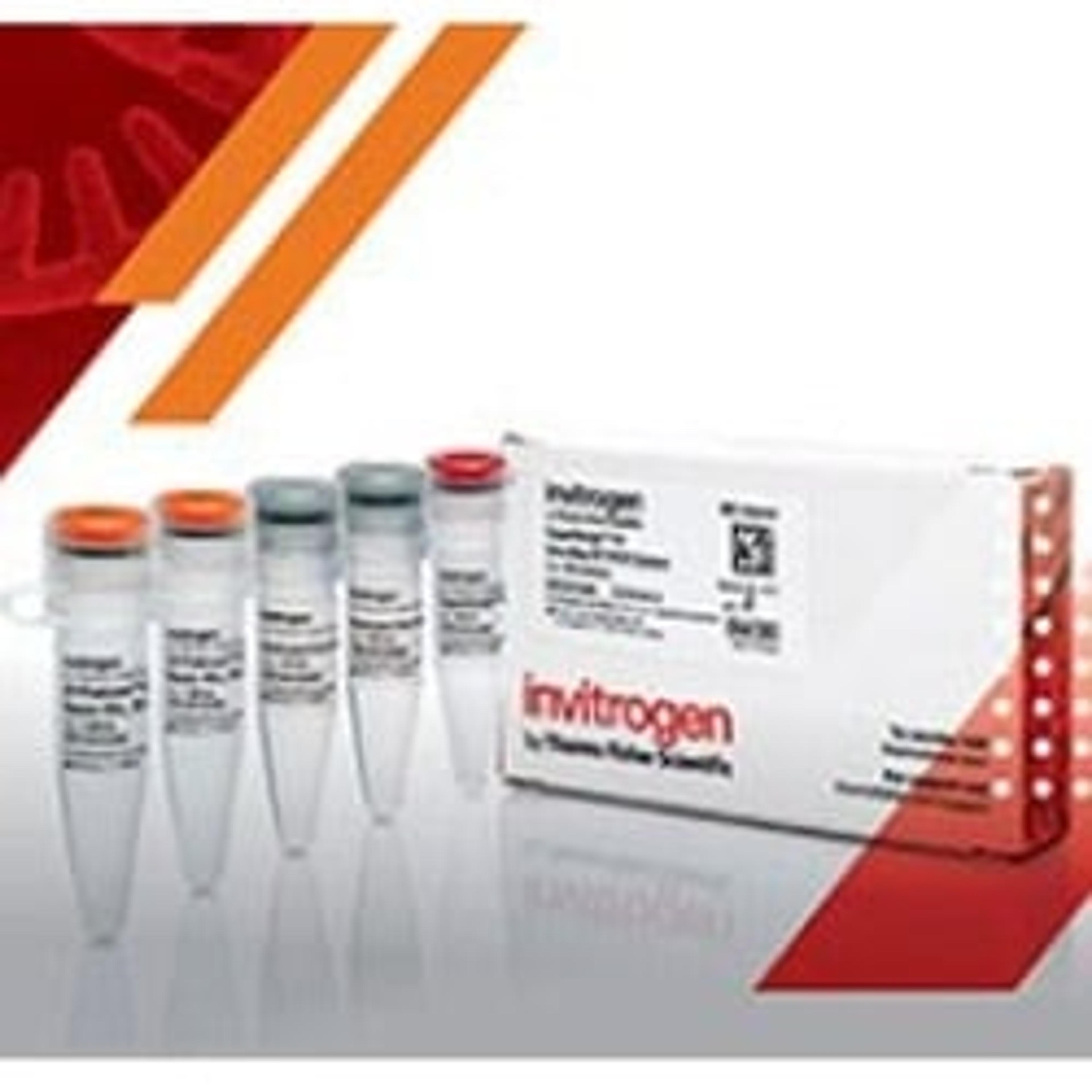 SuperScript IV One-Step RT-PCR System - Invitrogen Limited - Life Sciences