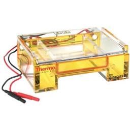 Thermo Scientific™ Owl™ EasyCast™ B2 Mini Gel Electrophoresis Systems - Thermo Fisher Scientific - Life Sciences