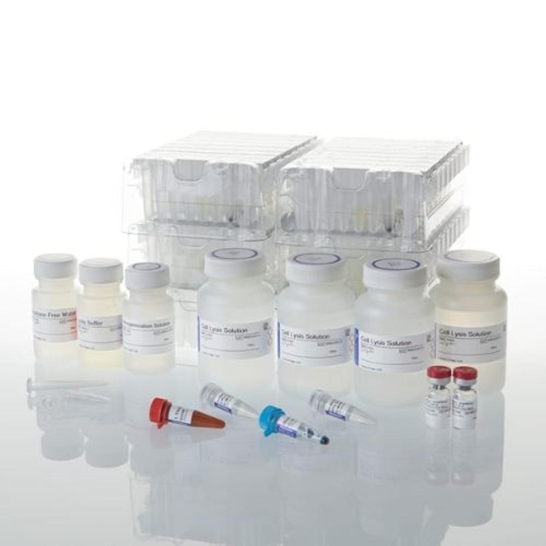 Maxwell® RSC simplyRNA Blood Kit - Promega Corp. - Life Sciences