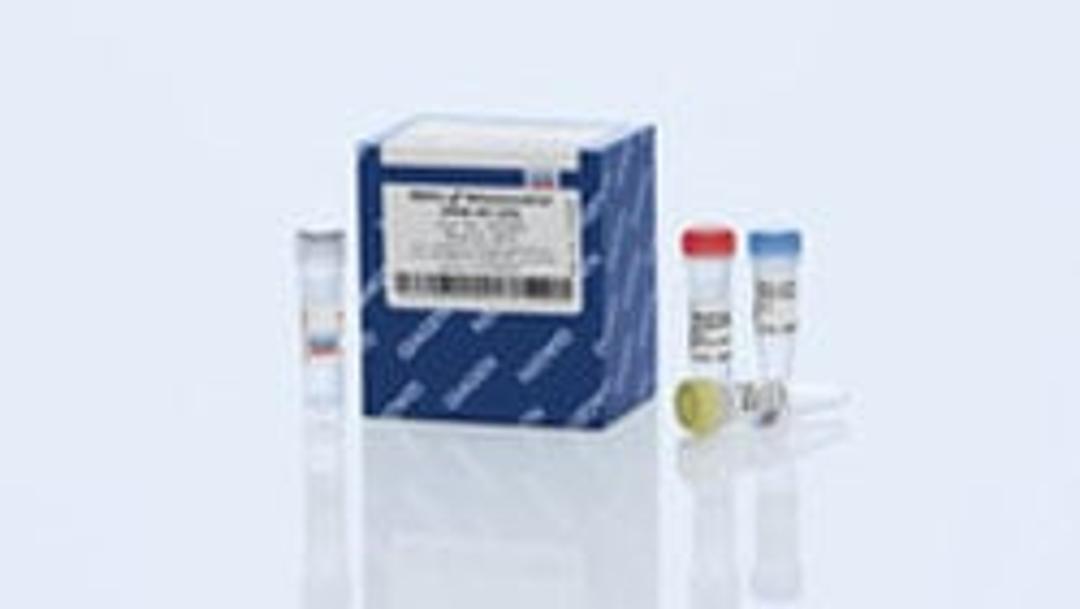 REPLI-g Mitochondrial DNA Kit (25) - QIAGEN