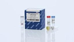 REPLI-g Mitochondrial DNA Kit (25) - QIAGEN