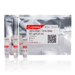 qMAXSen™ One-Step Green RT-qPCR Kit (Low Rox™) - Canvax - Life Sciences