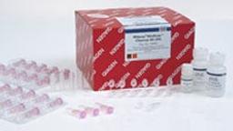 RNeasy MinElute Cleanup Kit (50) - QIAGEN