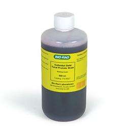 Colloidal Gold Total Protein Stain - Bio-Rad - Life Sciences