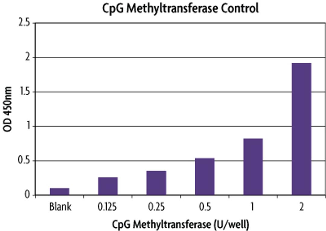 DNMT Activity / Inhibition Assay - Active Motif - Life Sciences