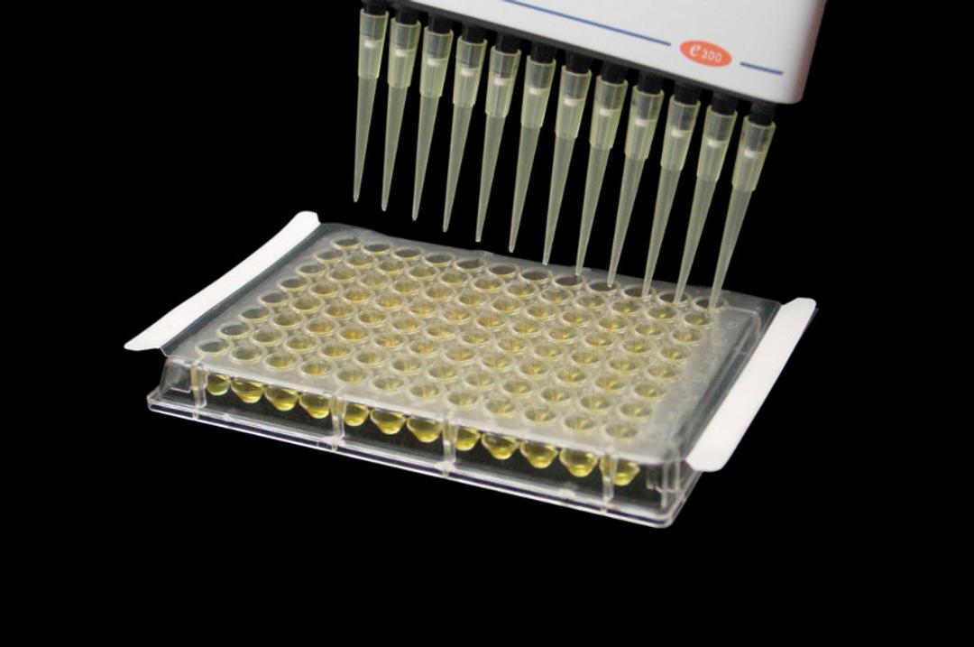 EZ-Pierce™ Microplate Sealing Film, Sterile - Excel Scientific, Inc. - Life Sciences