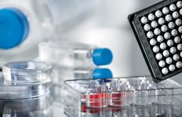 Advanced TC Cell Culture Vessels - Greiner Bio-One GmbH  - Life Sciences