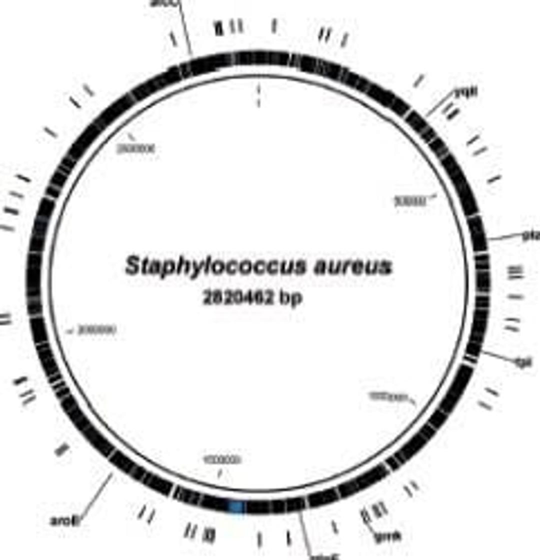 CLC MLST Module - CLC bio - Life Sciences
