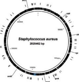 CLC MLST Module - CLC bio - Life Sciences