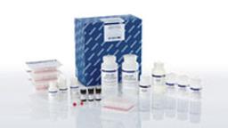 QIAamp 96 Virus QIAcube HT Kit (5) - QIAGEN