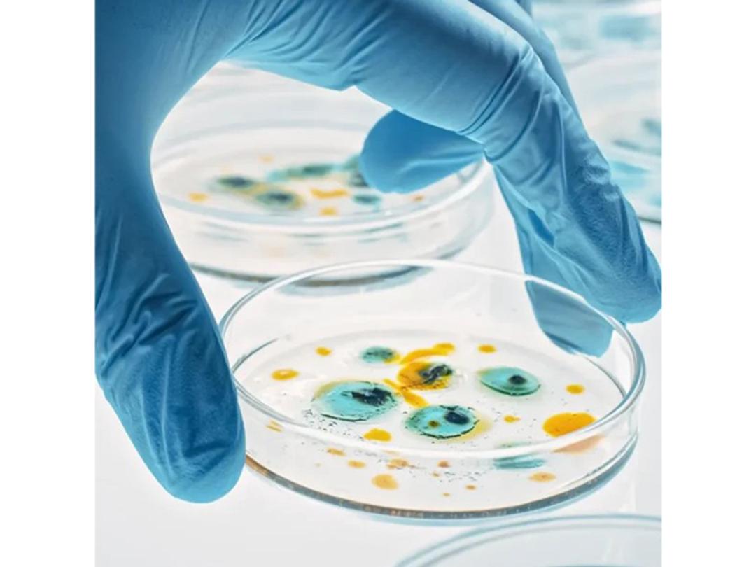 Human Biospecimen Solutions - Crown Bioscience - Drug discovery > Pre-Clinical Development