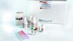 PAXgene Tissue RNA/miRNA Kit (50) - QIAGEN