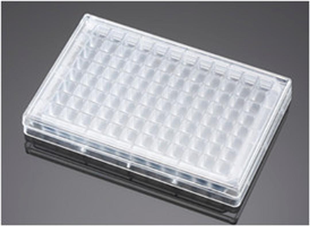 Falcon® 96 Square Well Flat Bottom Microplate, with Lid, Sterile, 5/Pack, 5/Case - Corning Life Sciences - Life Sciences