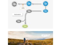 Complement C4d - Svar Life Science AB - Life Sciences