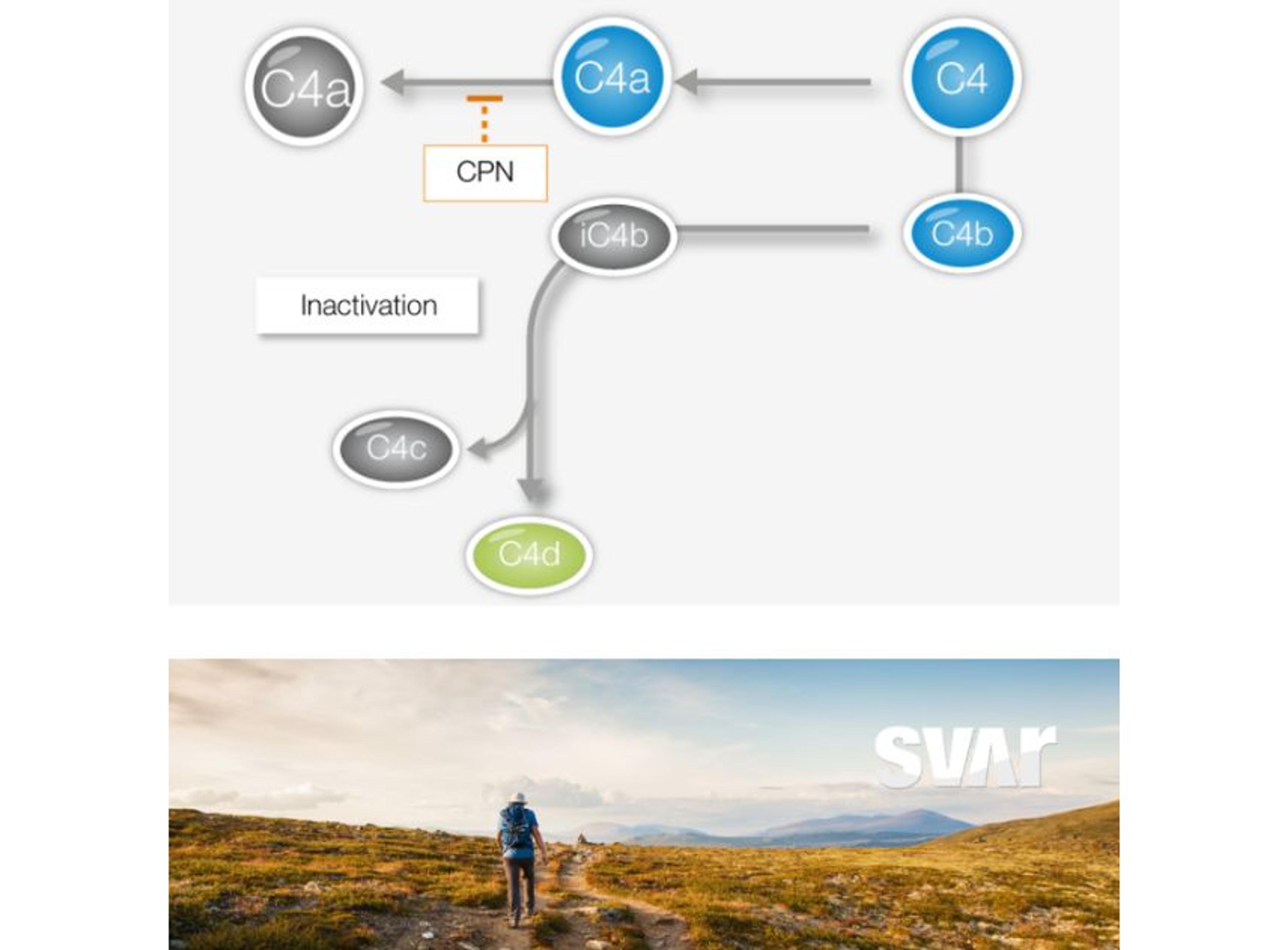 Complement C4d - Svar Life Science AB - Life Sciences