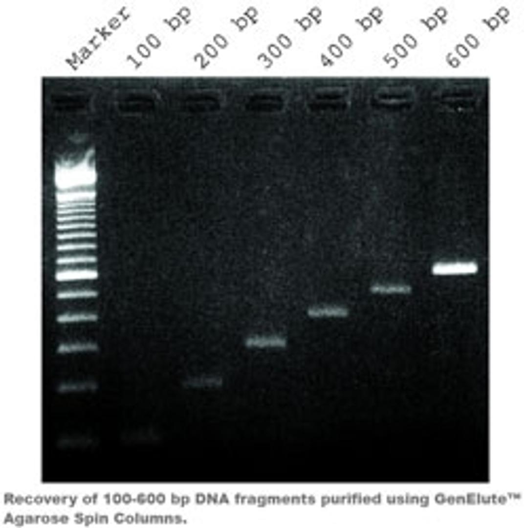 GenElute™ Agarose Spin Columns - Merck - Life Sciences
