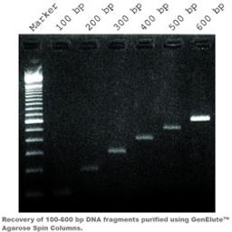 GenElute™ Agarose Spin Columns - Merck - Life Sciences