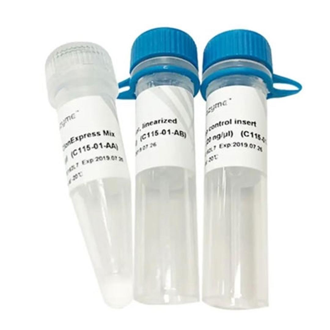 ClonExpress Ultra One Step Cloning Kit - Vazyme Biotech Co., Ltd - Life Sciences