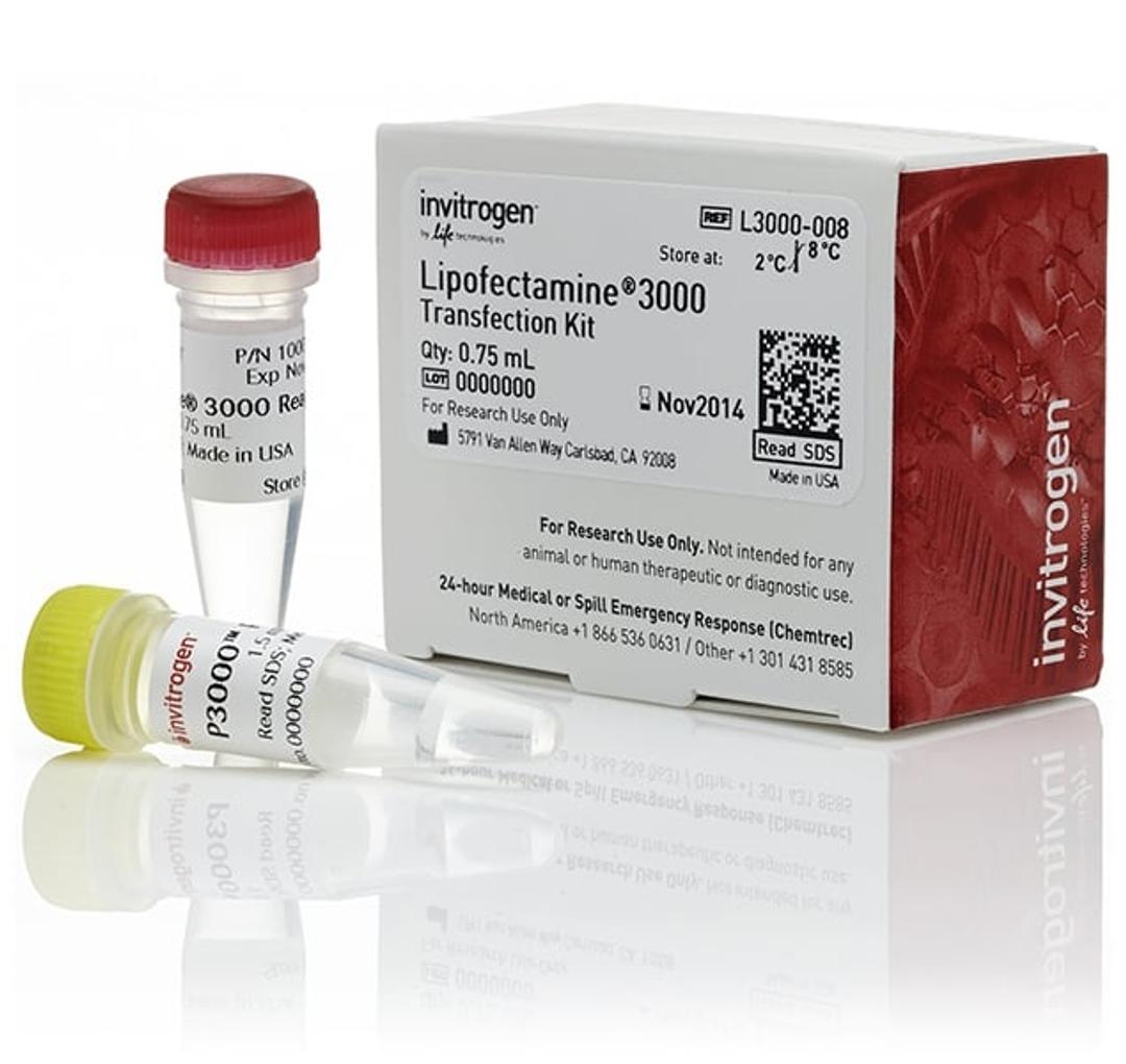 Invitrogen™ Lipofectamine® 3000 Transfection Reagent (0.75 mL) - Thermo Fisher Scientific - Life Sciences