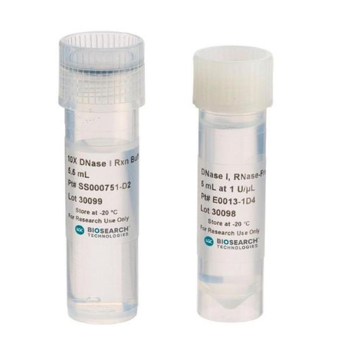 RNase-Free DNase I - LGC Biosearch Technologies - General Lab
