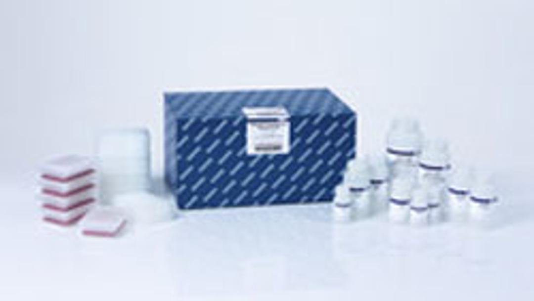 DNeasy 96 PowerSoil Pro QIAcube HT Kit (5) - QIAGEN