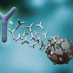 Vesicular Stomatitis Virus (VSV) Antibodies - Kerafast - Life Sciences