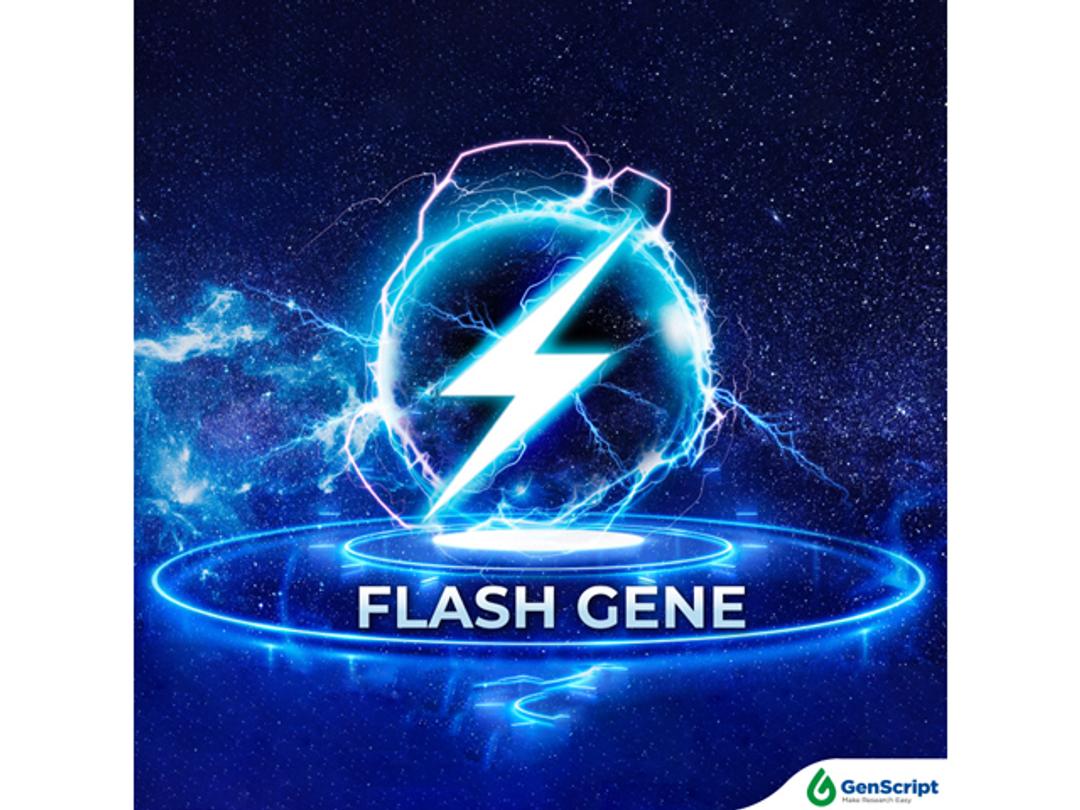 FLASH Gene - GenScript - Life Sciences