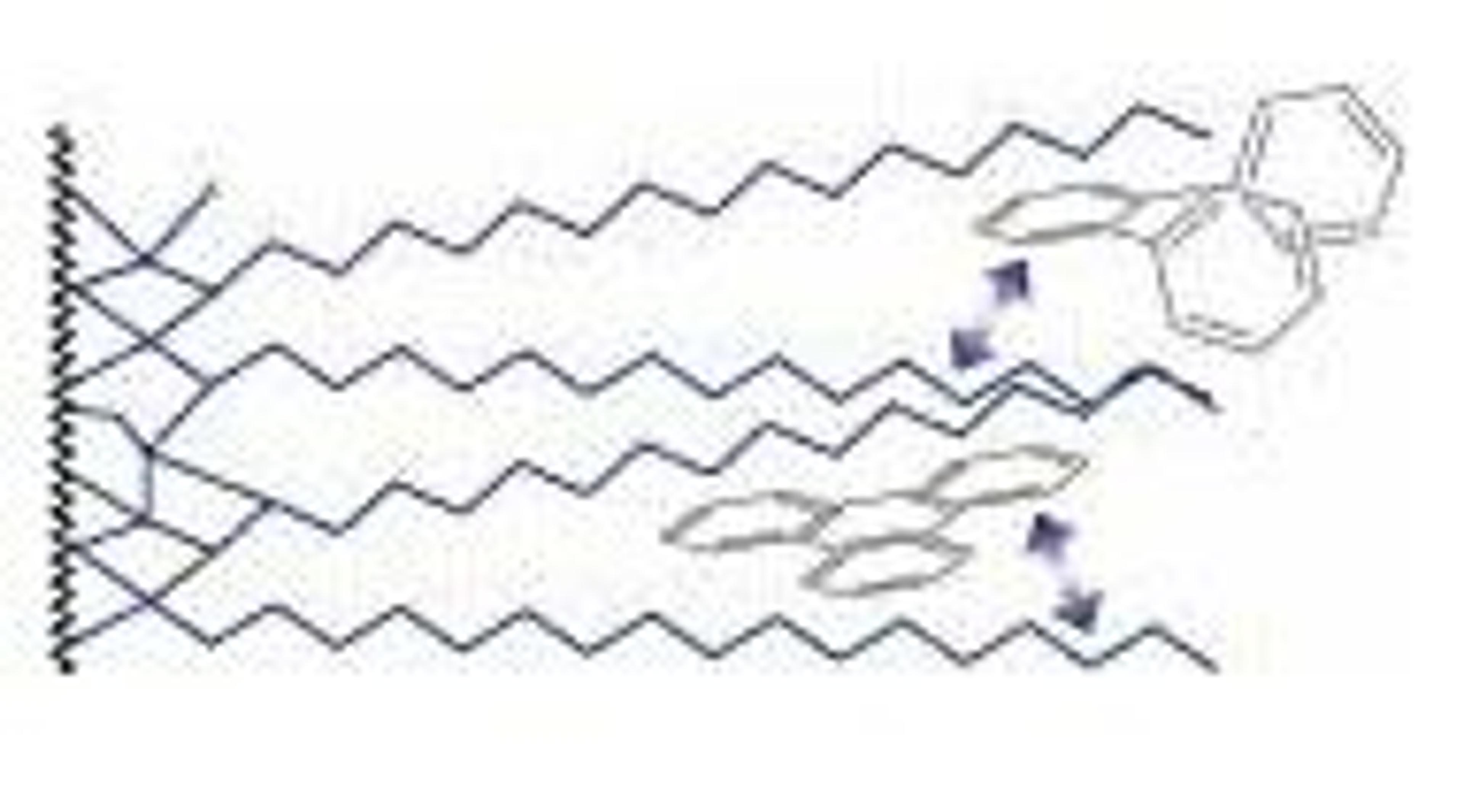 NUCLEODUR® C18 ISIS - MACHEREY-NAGEL GmbH & Co. KG