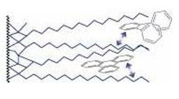 NUCLEODUR® C18 ISIS - MACHEREY-NAGEL GmbH & Co. KG