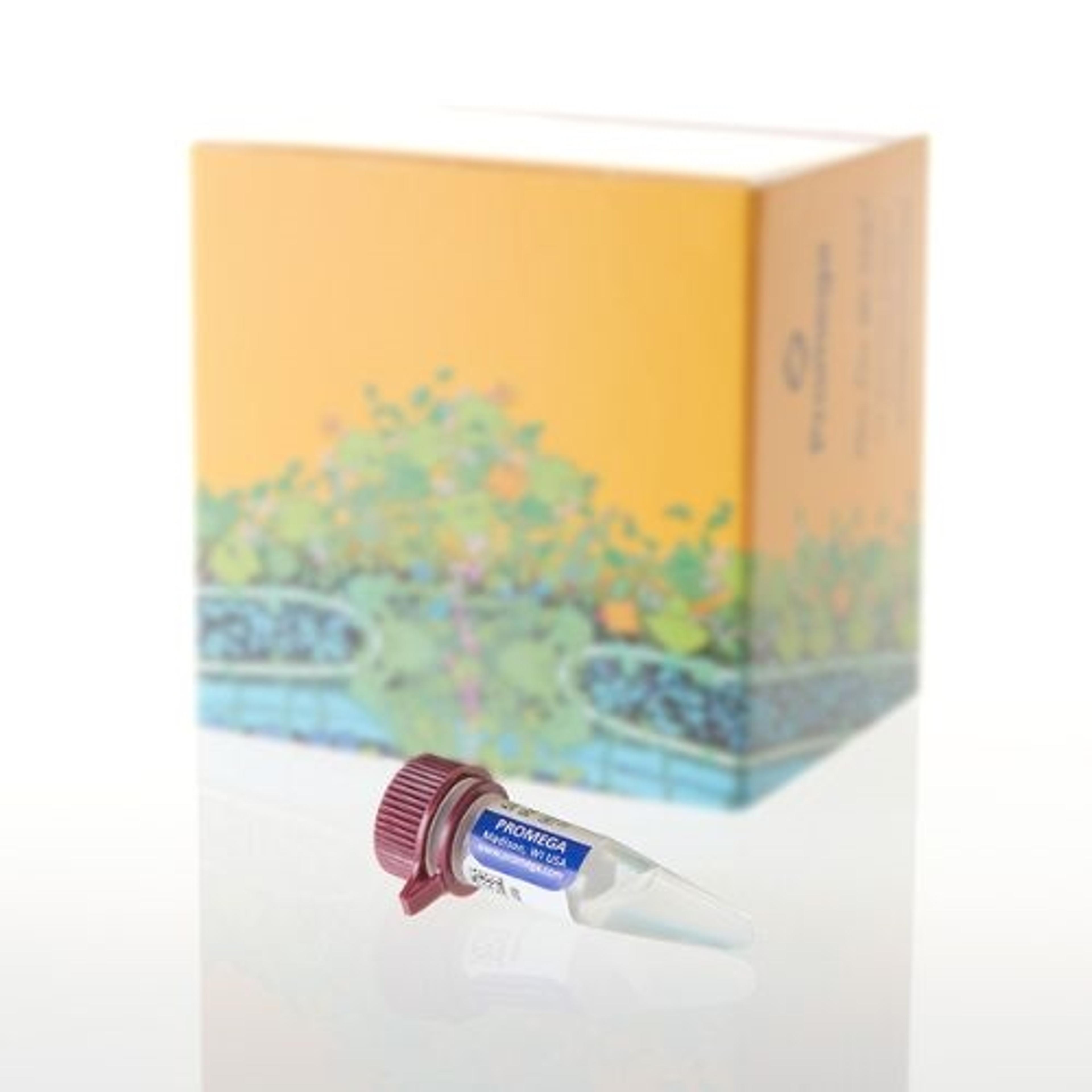 5X AmpSolution™ Reagent, PunchSolution™ Kit and SwabSolution™ Kit - Promega Corp. - Life Sciences