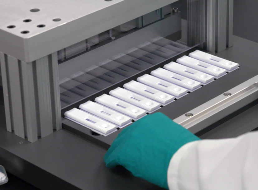 Lateral flow test development