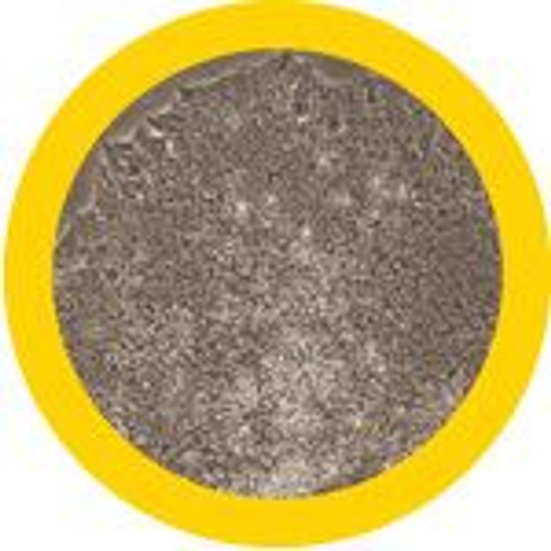 MyCell Products - Cellular Dynamics International - Life Sciences