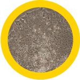 MyCell Products - Cellular Dynamics International - Life Sciences