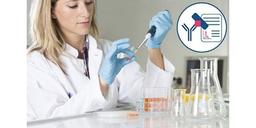 PEPperMAP® Linear Epitope Mapping Service - PEPperPRINT GmbH - Life Sciences