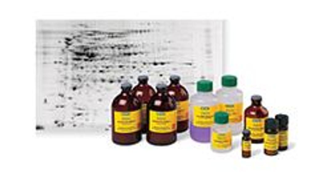 Premixed Buffers and Buffer Reagents - Bio-Rad - Life Sciences
