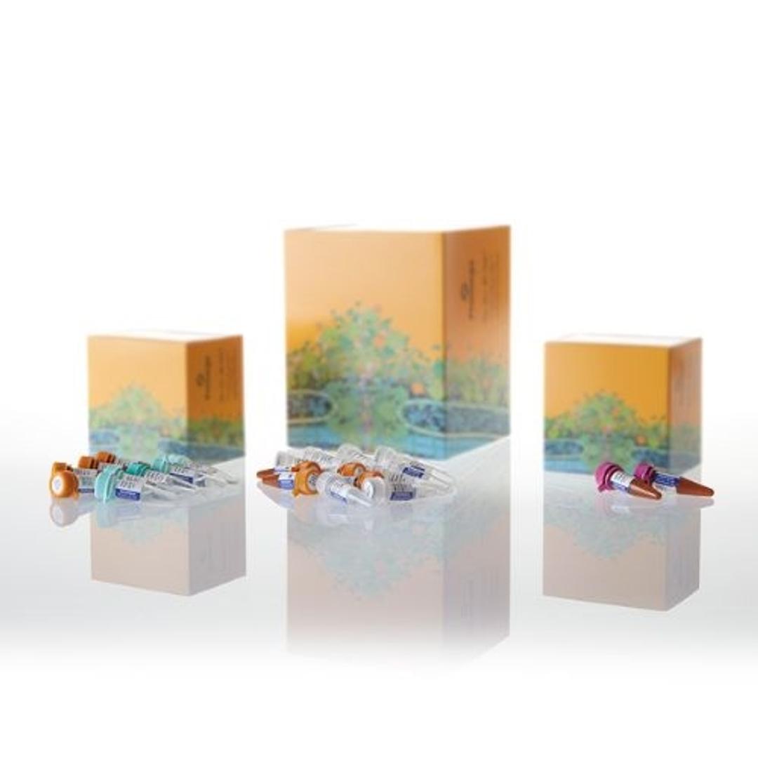 PowerPlex® ESX 16 and ESI 16 Fast Systems - Promega Corp. - Life Sciences