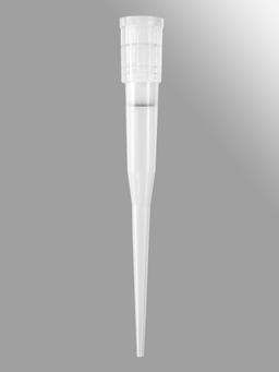 Axygen® 96-well tips, 165µL, Clear, Filtered, Sterile, Bottom Label, SLAS Rack - Corning Life Sciences - General Lab